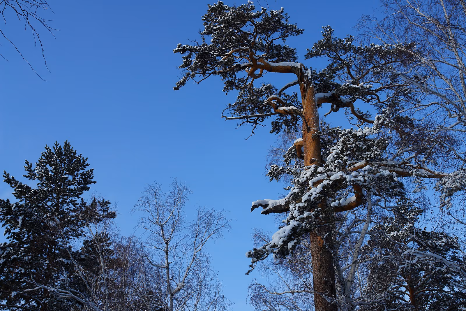 Angarskaya Gorka ski resort