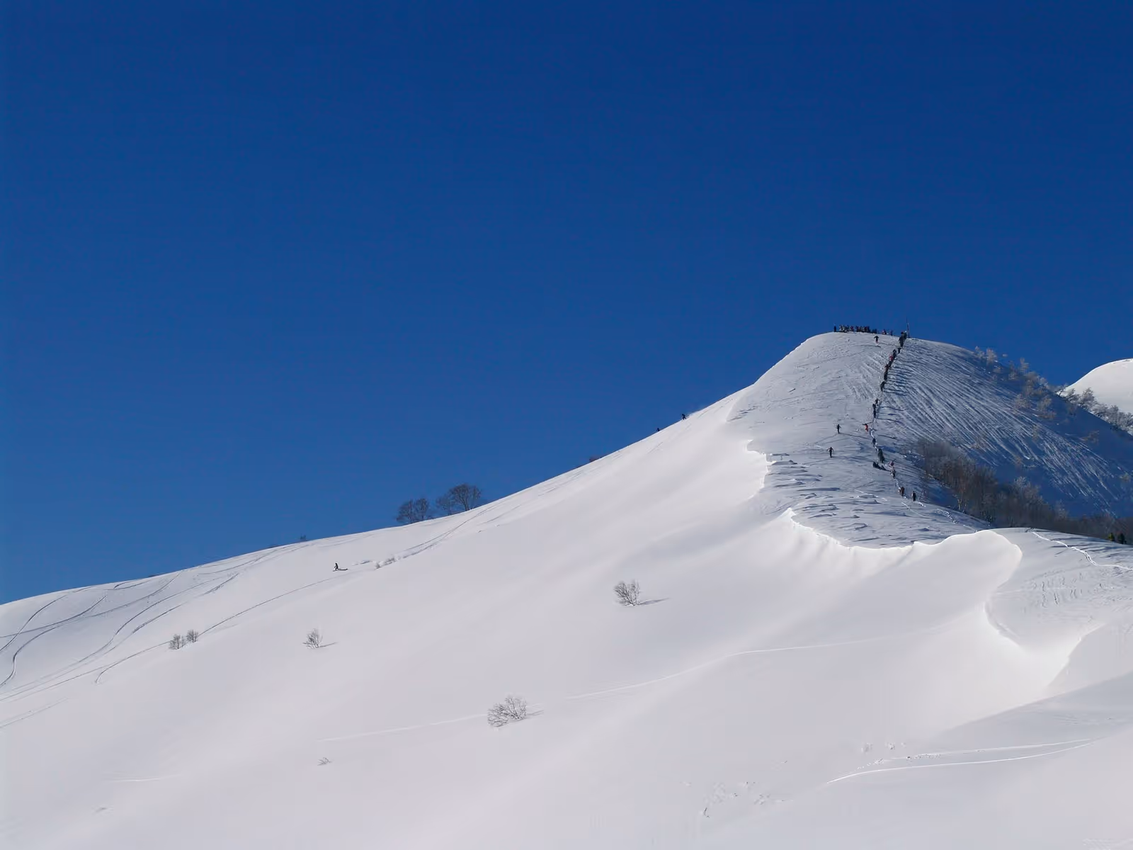 アライスノーリゾート, ARAI SNOW RESORT ski resort