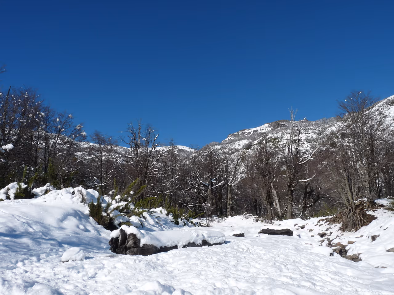 Arroyo Partido Parque de Nieve ski resort