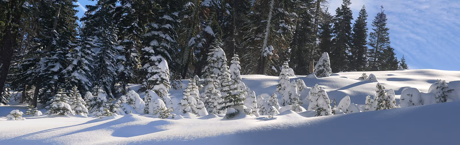 Boreal Mountain Resort ski resort