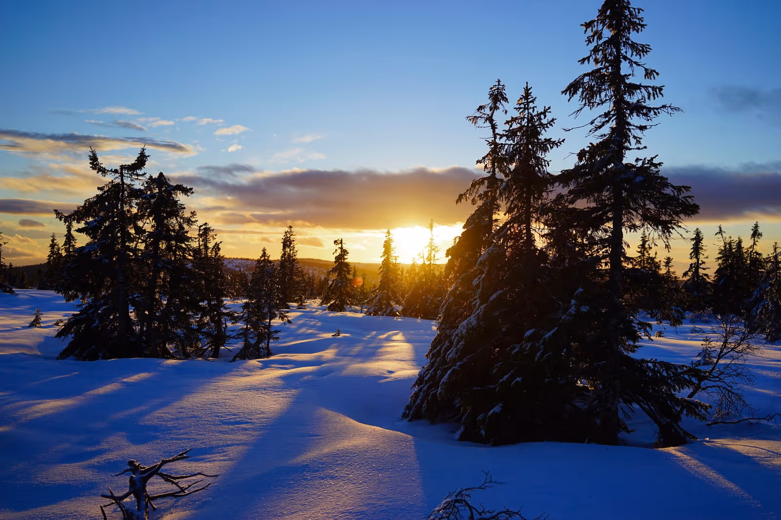 Budor skitrekk ski resort
