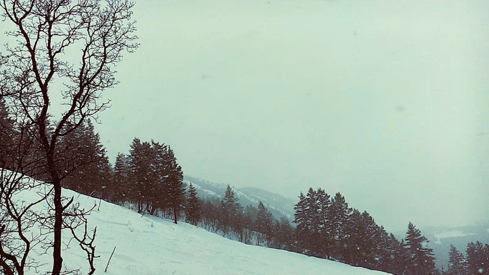Cherry Peak Ski Area ski resort