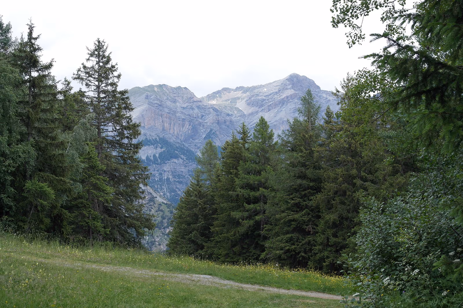 Cima Piazzi – San Colombano ski resort