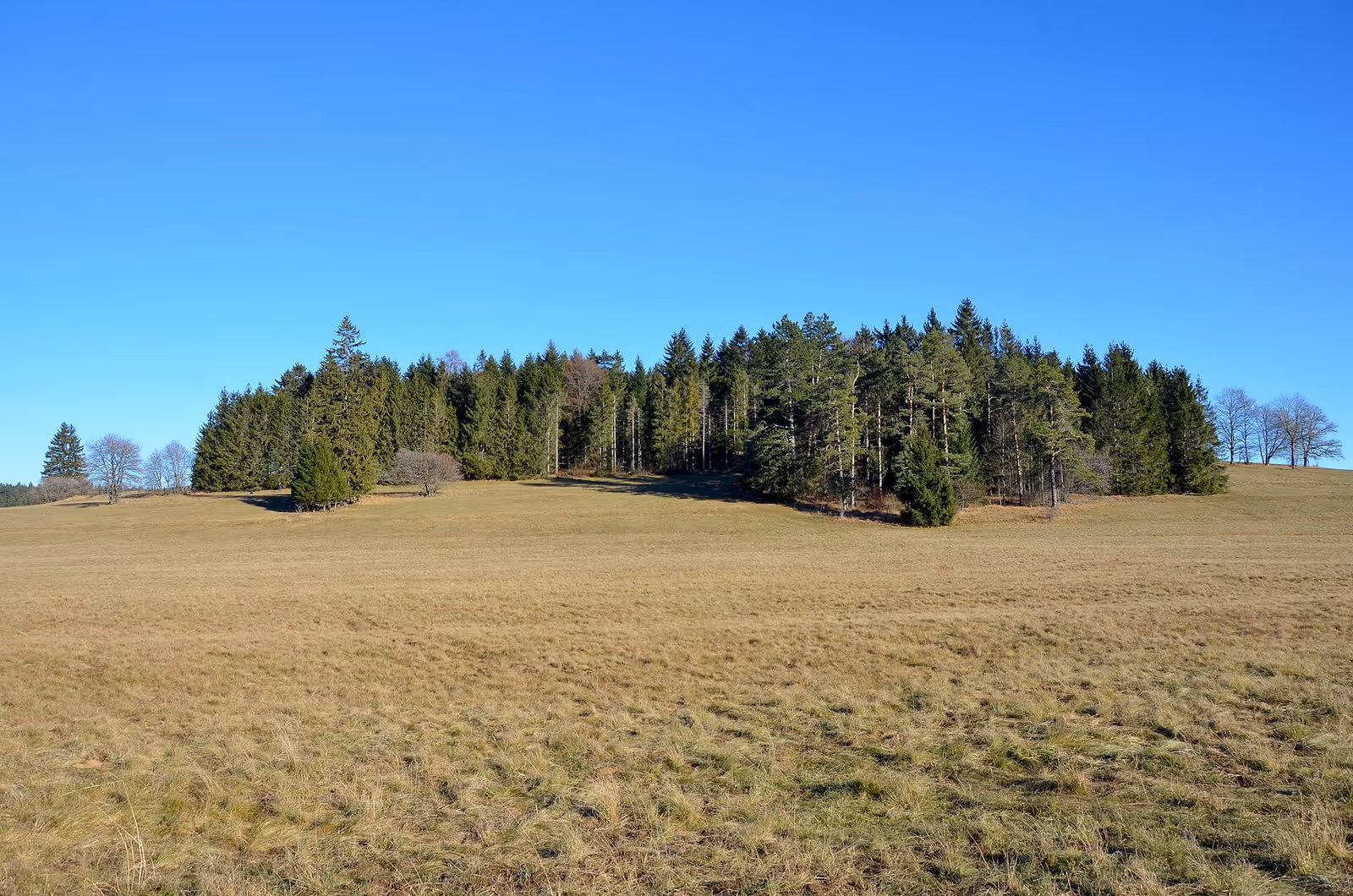 Deilingen ski resort