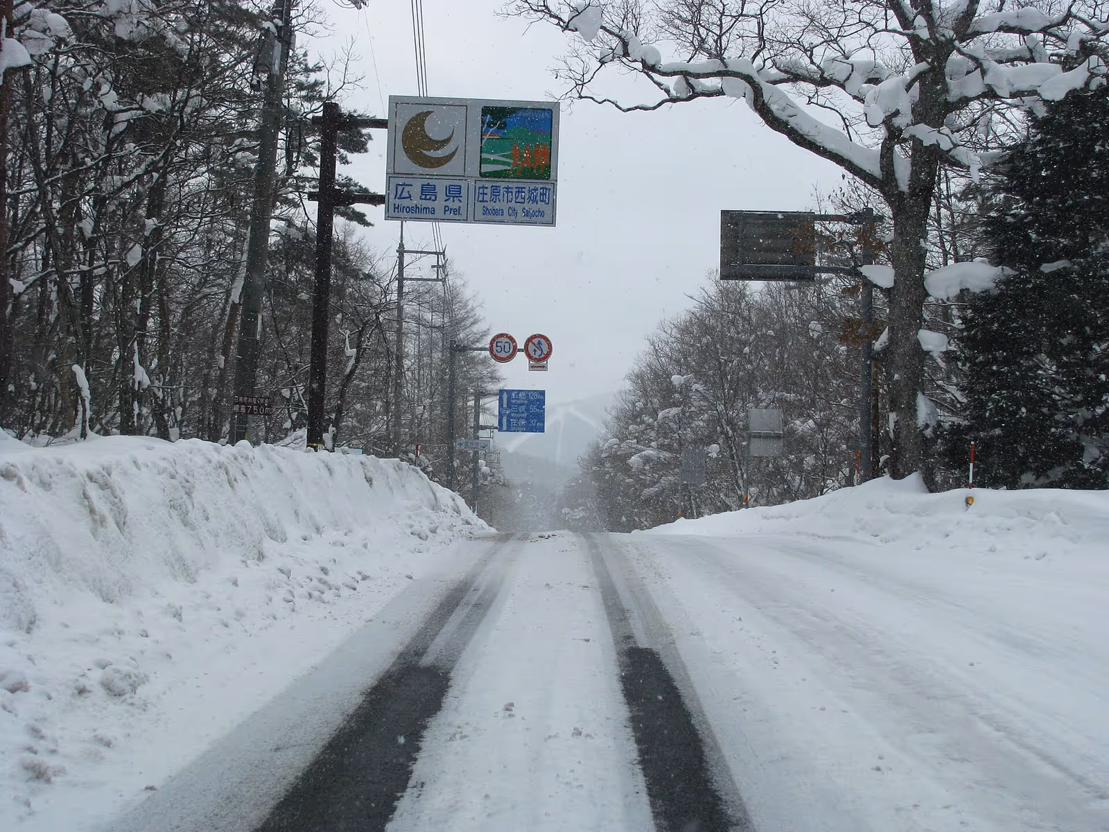 道後山観光（株）, Dogoyama-Kougen Ski Resort ski resort