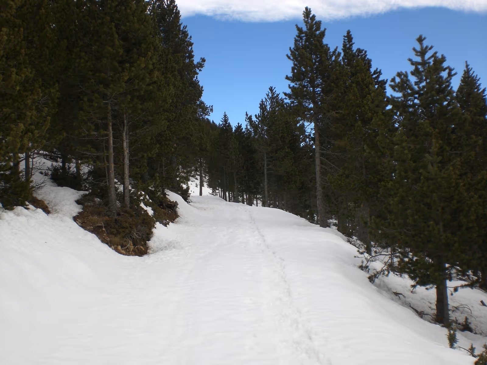 Estació d'esquí Port del Comte ski resort