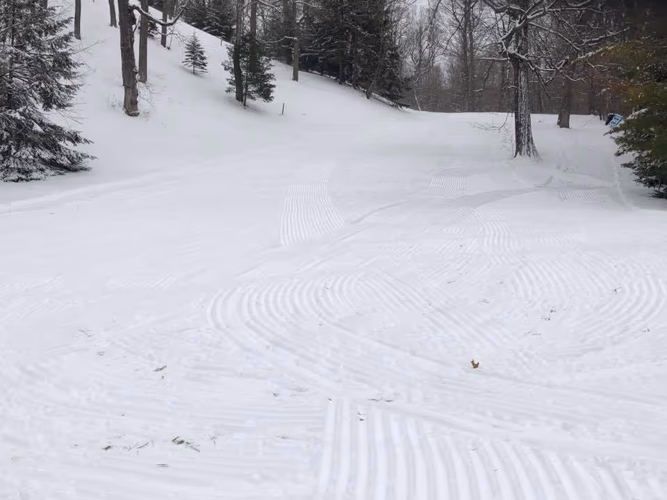 Fox Hill Ski Area ski resort