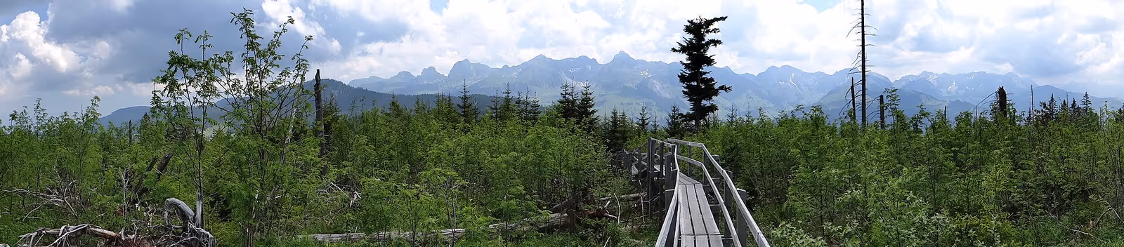 Gatrisch - Selital ski resort