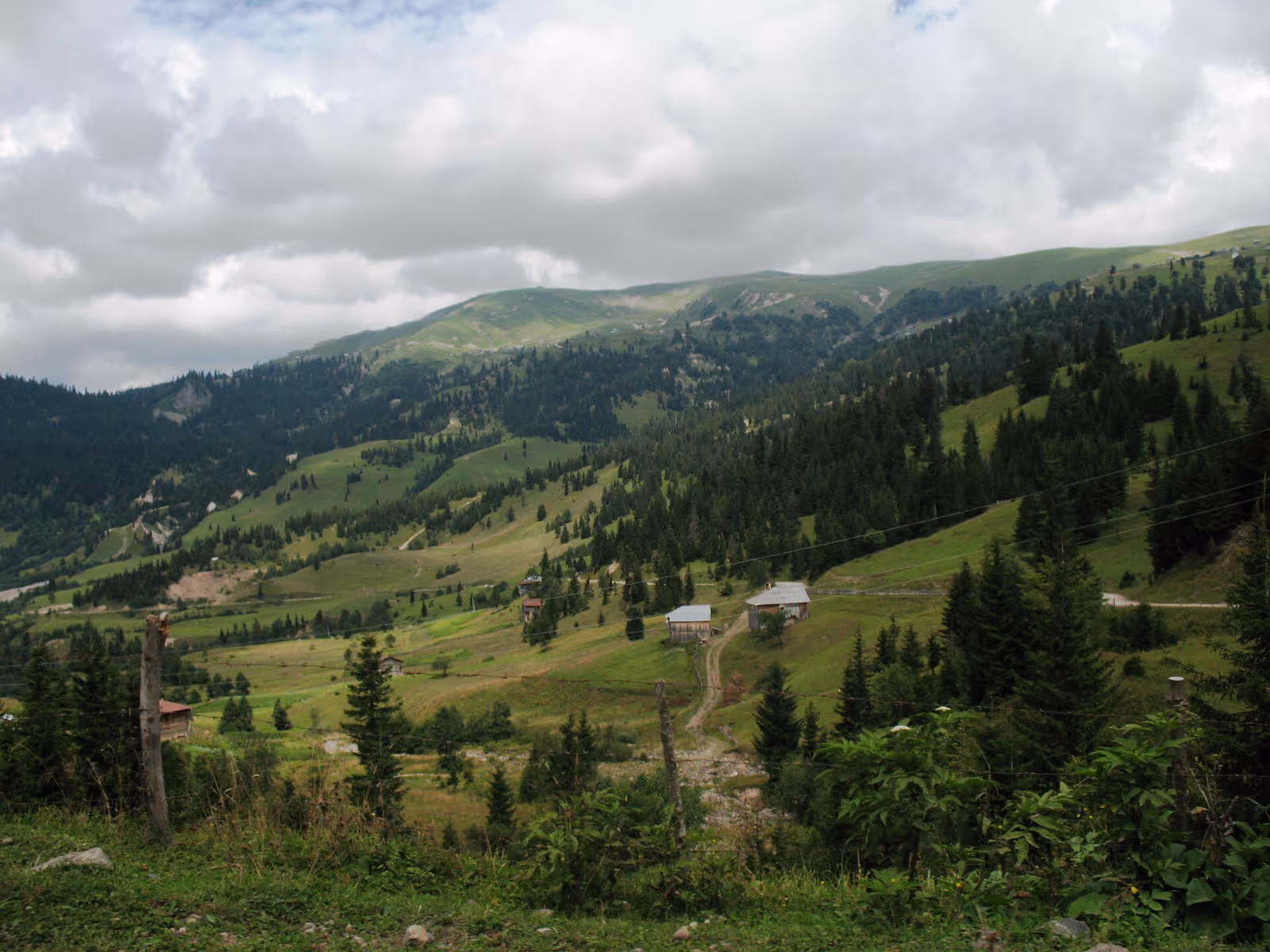 Goderdzi Mountain Resort ski resort