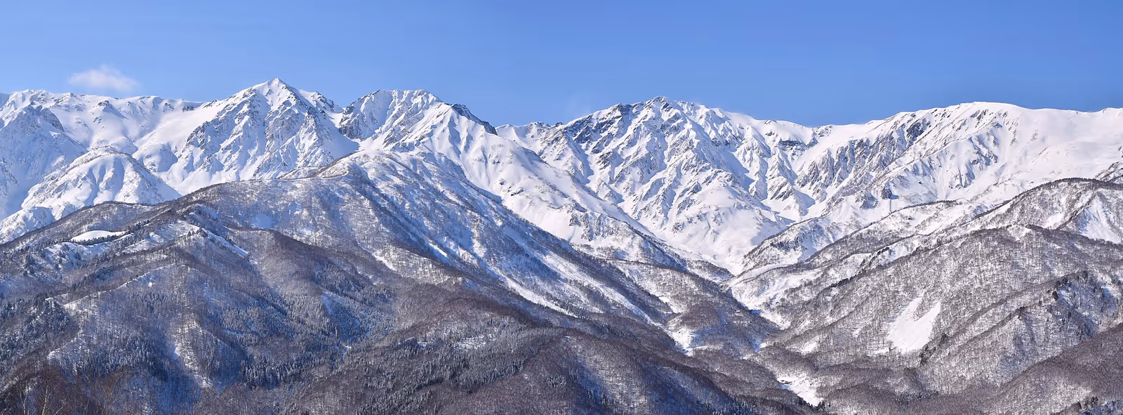 白馬白馬岩岳, Hakuba Iwatake, 白馬岩岳 ski resort