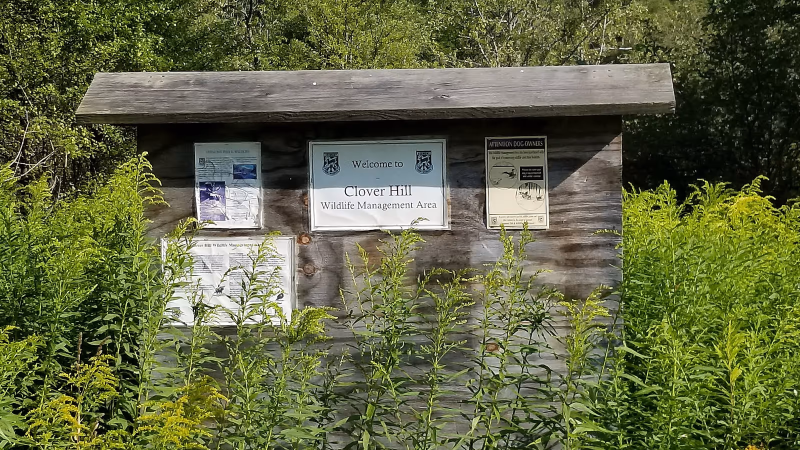 Harrington Hill ski resort