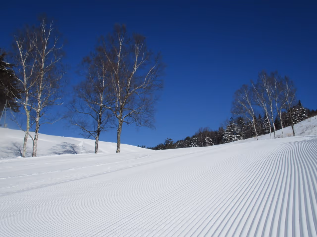 高山市営飛騨高山スキー場, Hida Takayama Municipal Ski Resort ski resort