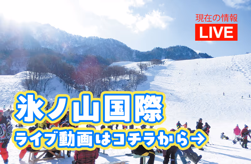 氷ノ山国際スキー場, Hyounosen Kokusai Ski Resort ski resort