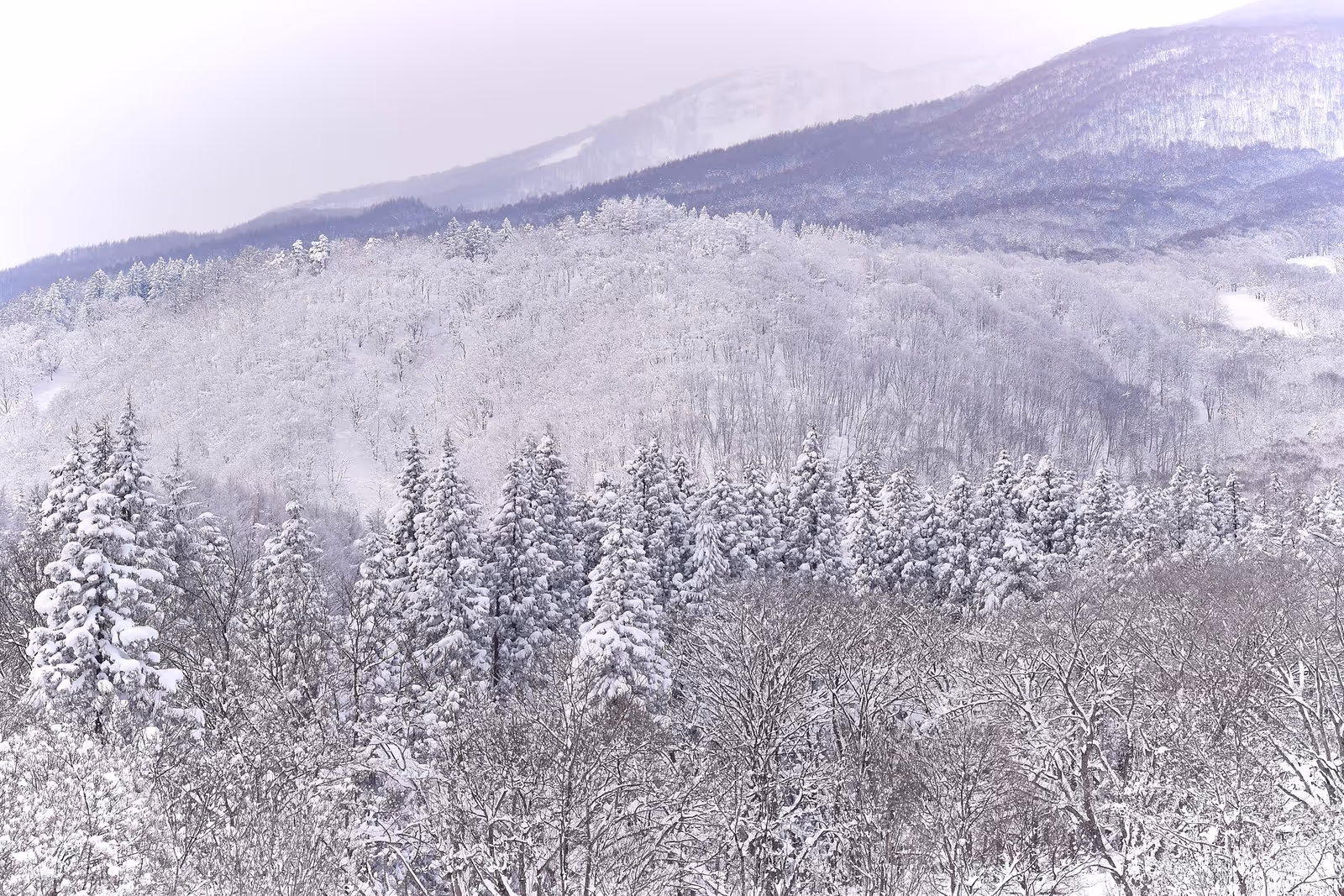 池の平温泉アルペンブリックスキー場, Ikenotaira Onsen ALPEN BLICK Ski Resort ski resort