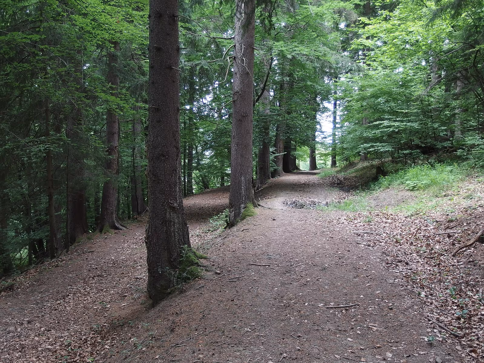 Jasenská dolina ski resort