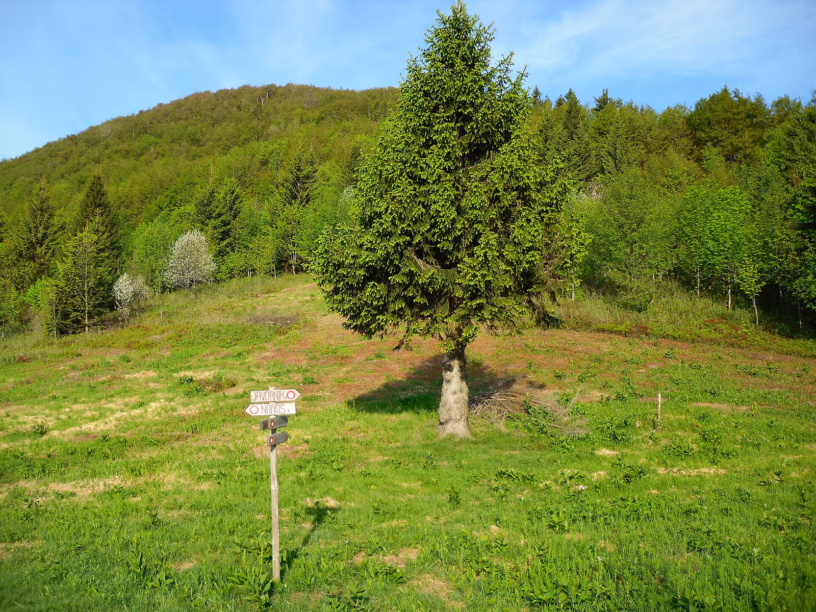 Javornik ski resort