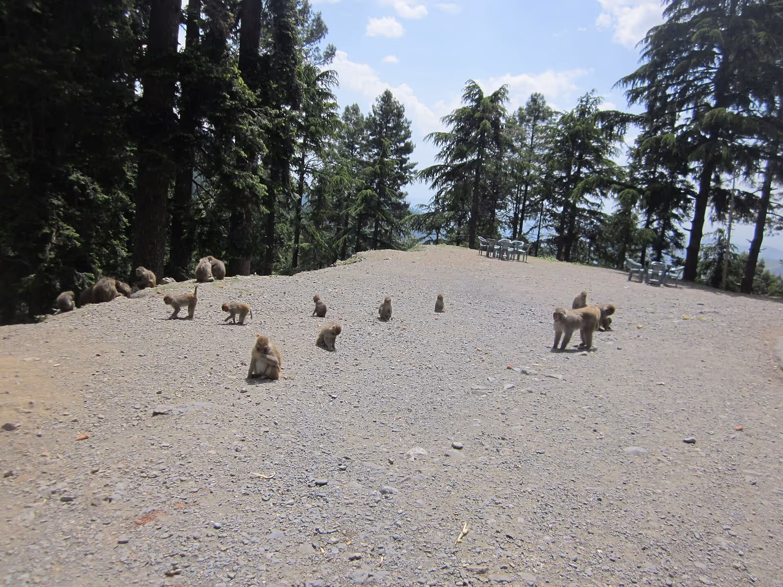 Kala Bagh (Nathiagali) ski resort
