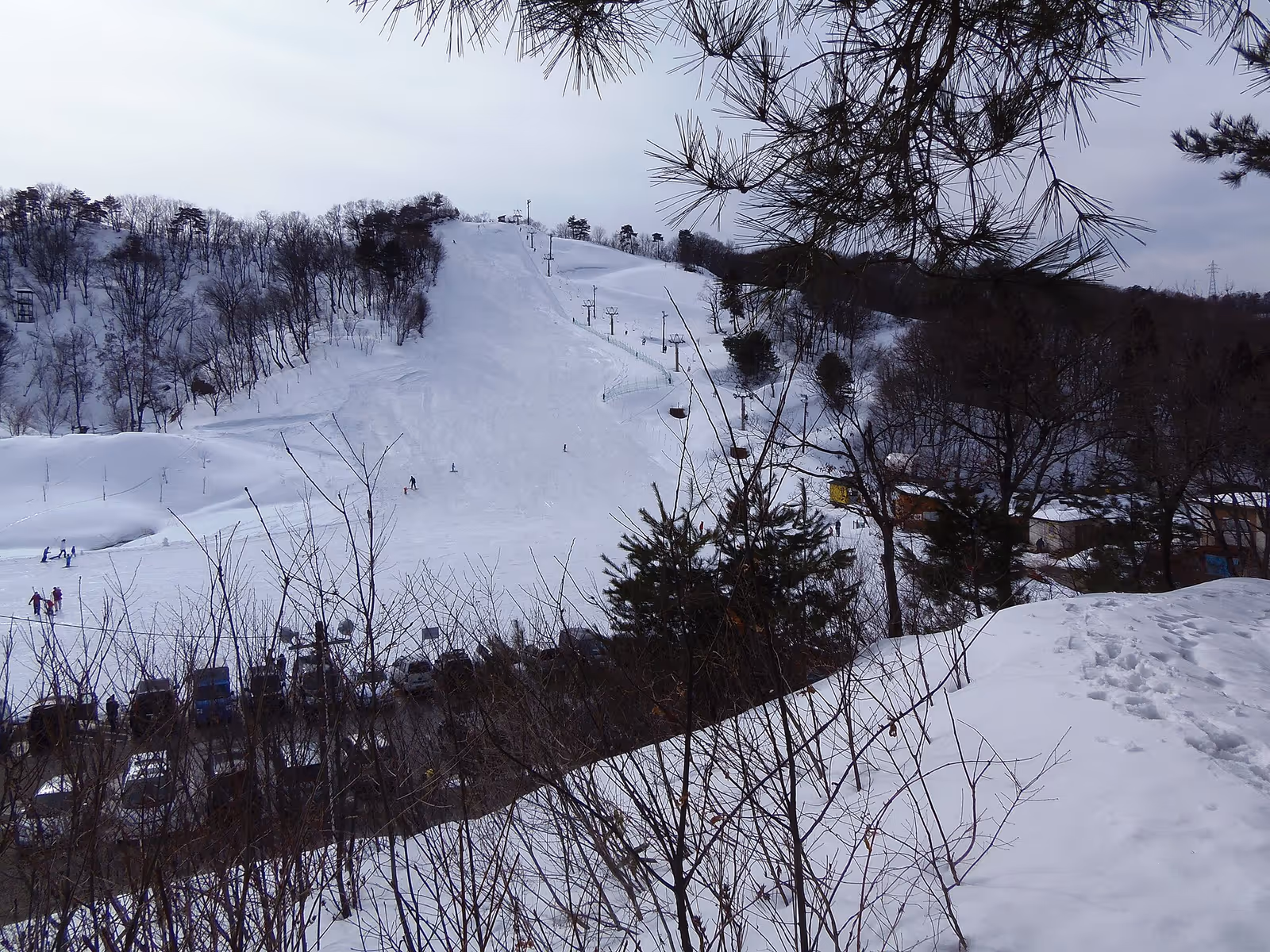 金谷山スキー場, Kanayasan Ski Area ski resort