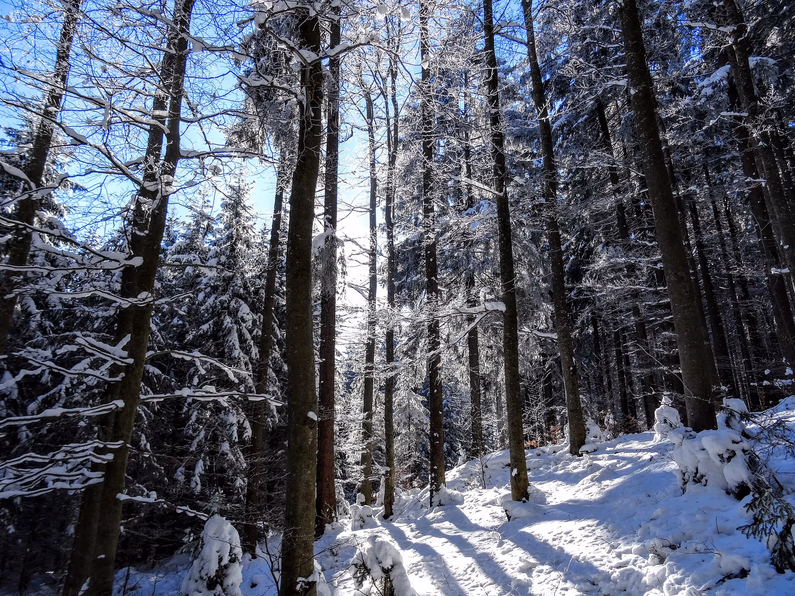 Kubova Huť ski resort