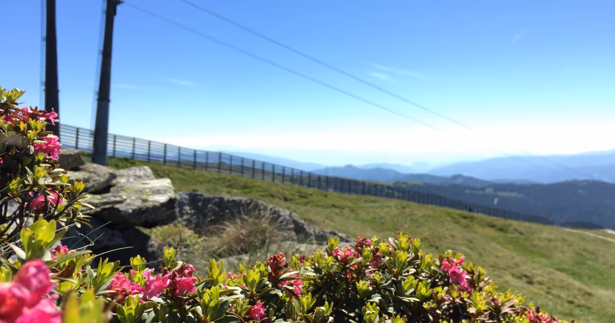 Lachtal ski resort