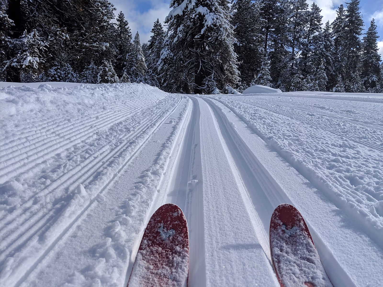 Little Ski Hill ski resort
