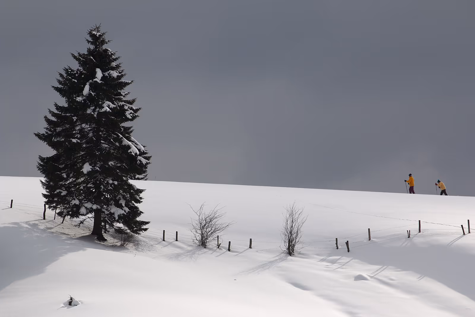Longchaumois Rosset ski resort