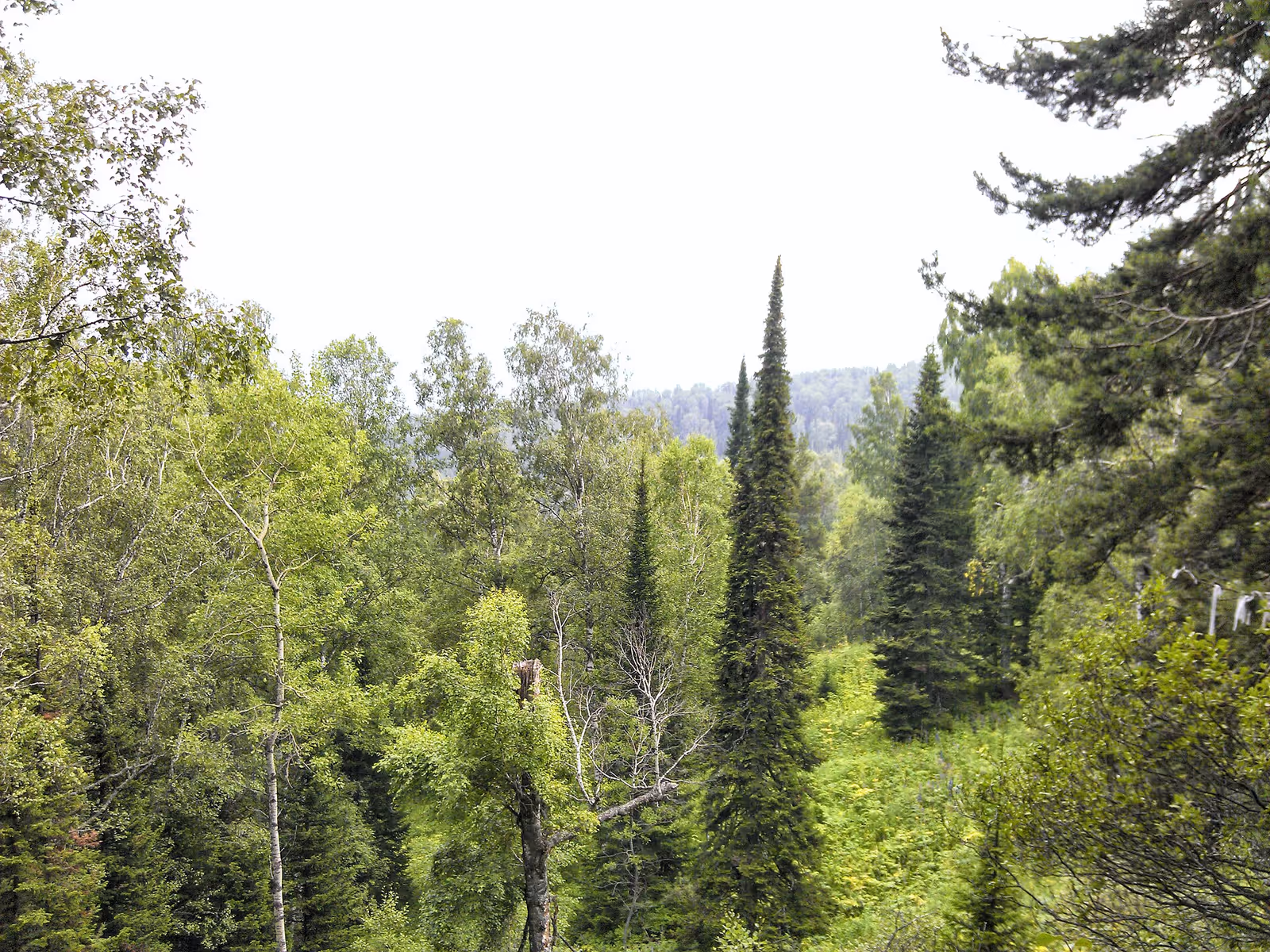Манжерок (Manzherok) ski resort