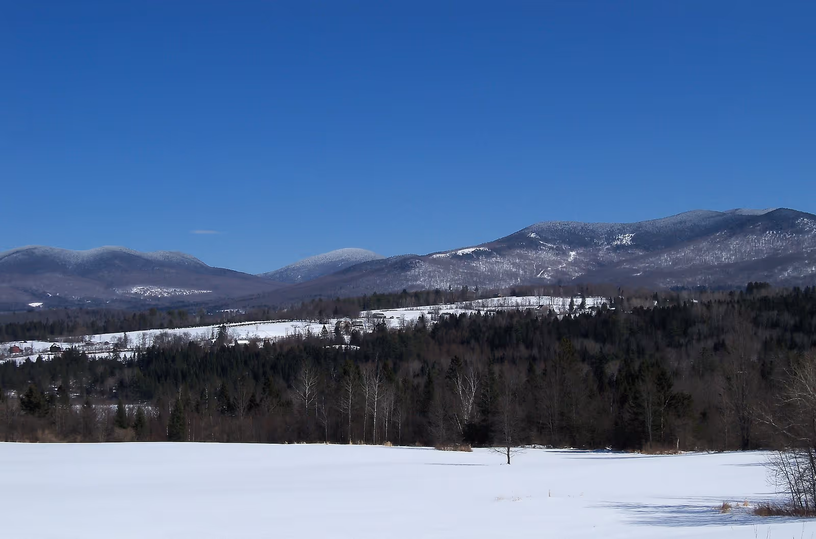 Mount Prospect Ski Tow ski resort