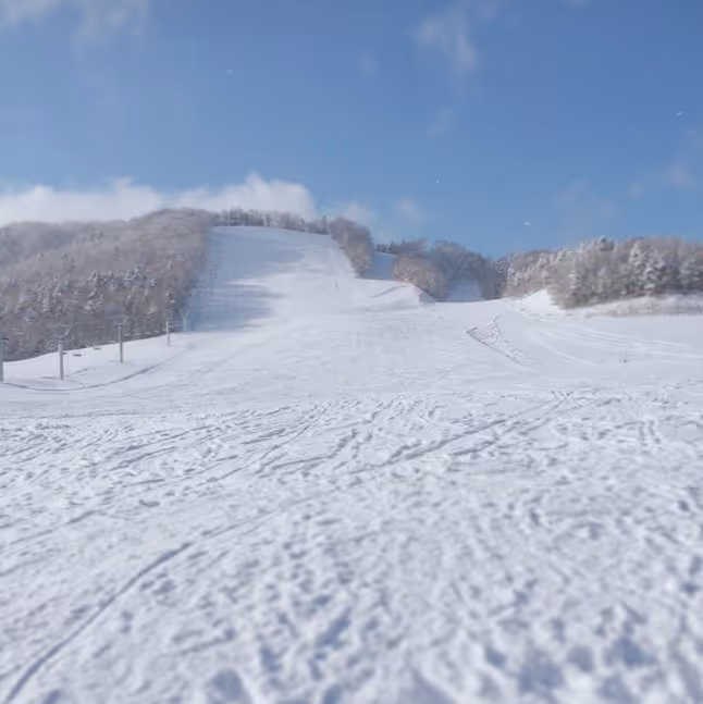 中頓別町寿スキー場, Nakatonbestucho Eikotobuki ski resort
