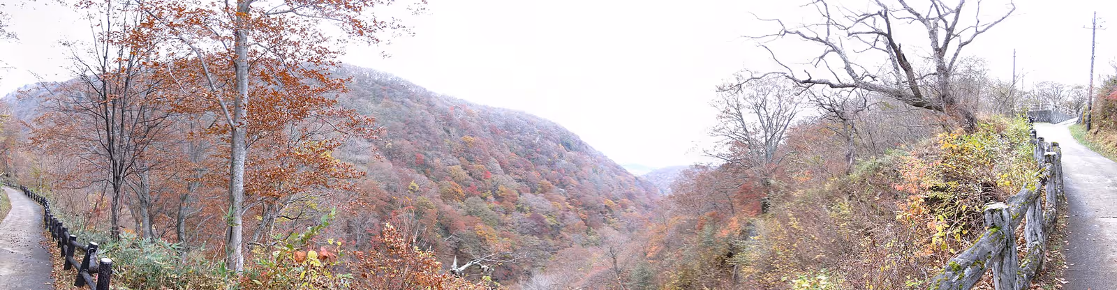 Nasu Onsen (那須温泉ファミリースキー場) ski resort