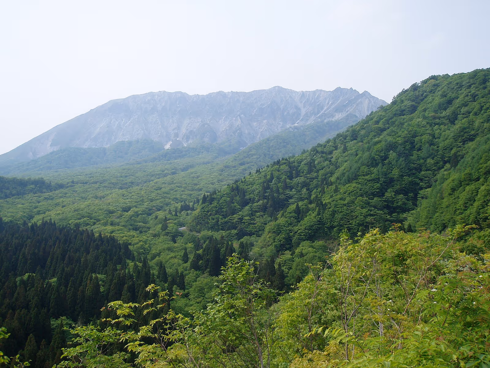 奥大山スキー場, OkuDaisen Ski resort ski resort