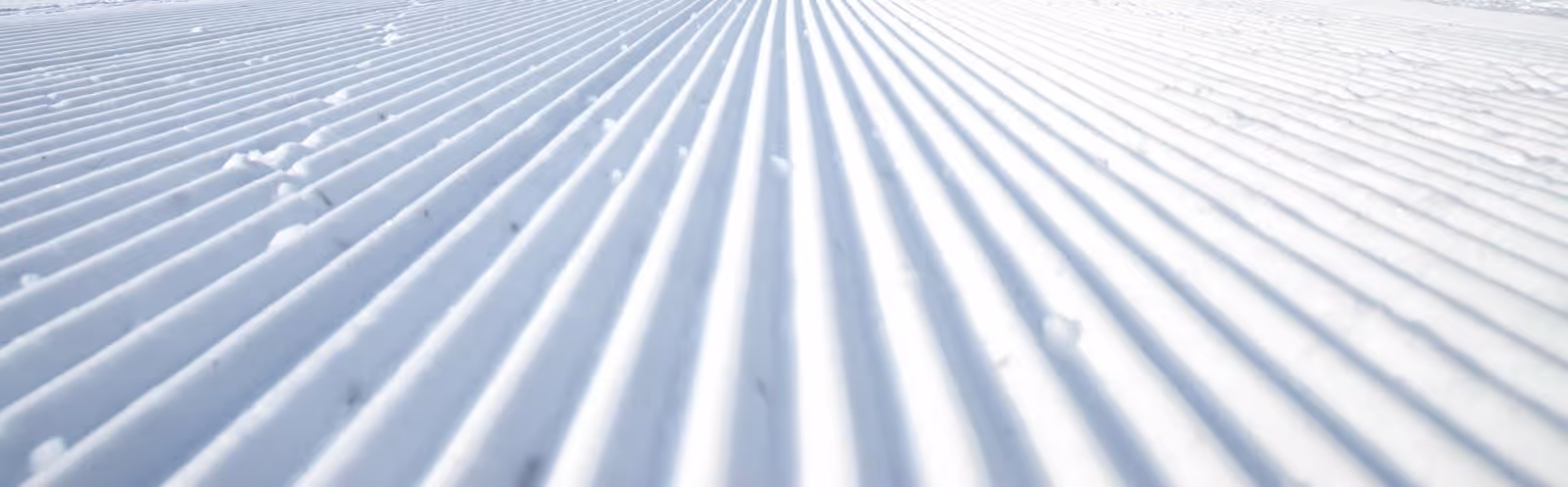 Prestlia ski resort