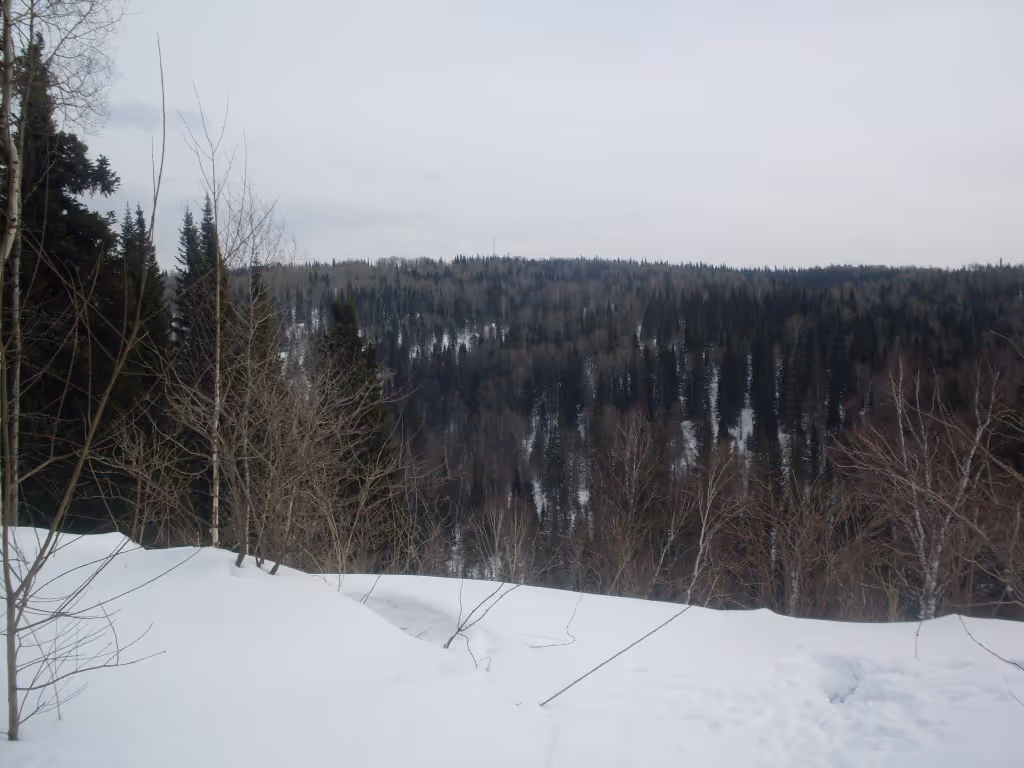 горнолыжный комплекс "Зеленогорский" ski resort