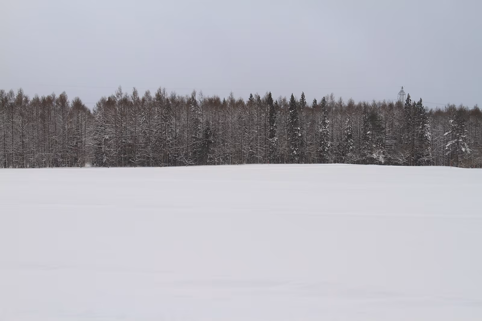 グランドサンピア猪苗代リゾートスキー場 ski resort