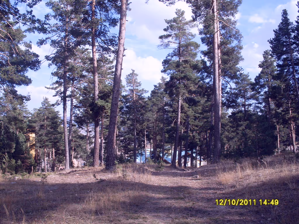 Sarıkamış Cıbıltepe ski resort
