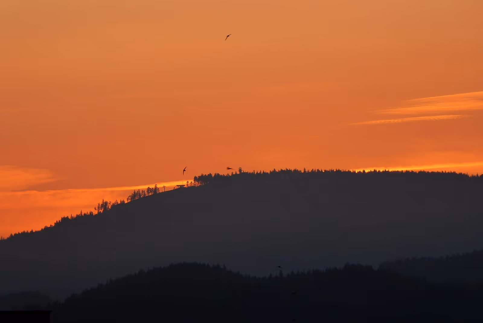 Skiareál Plešivec ski resort
