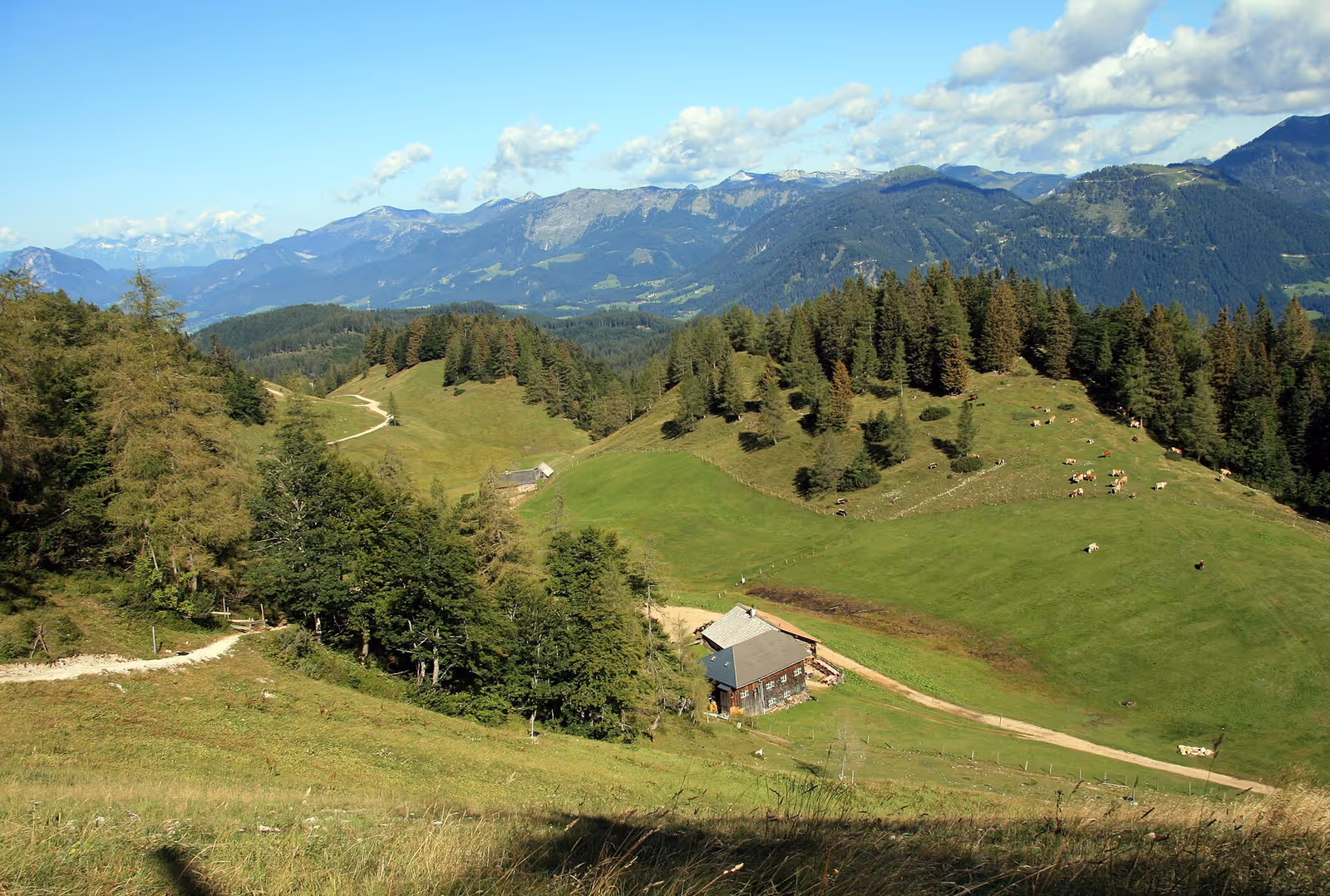 Skiregion Dachstein West ski resort