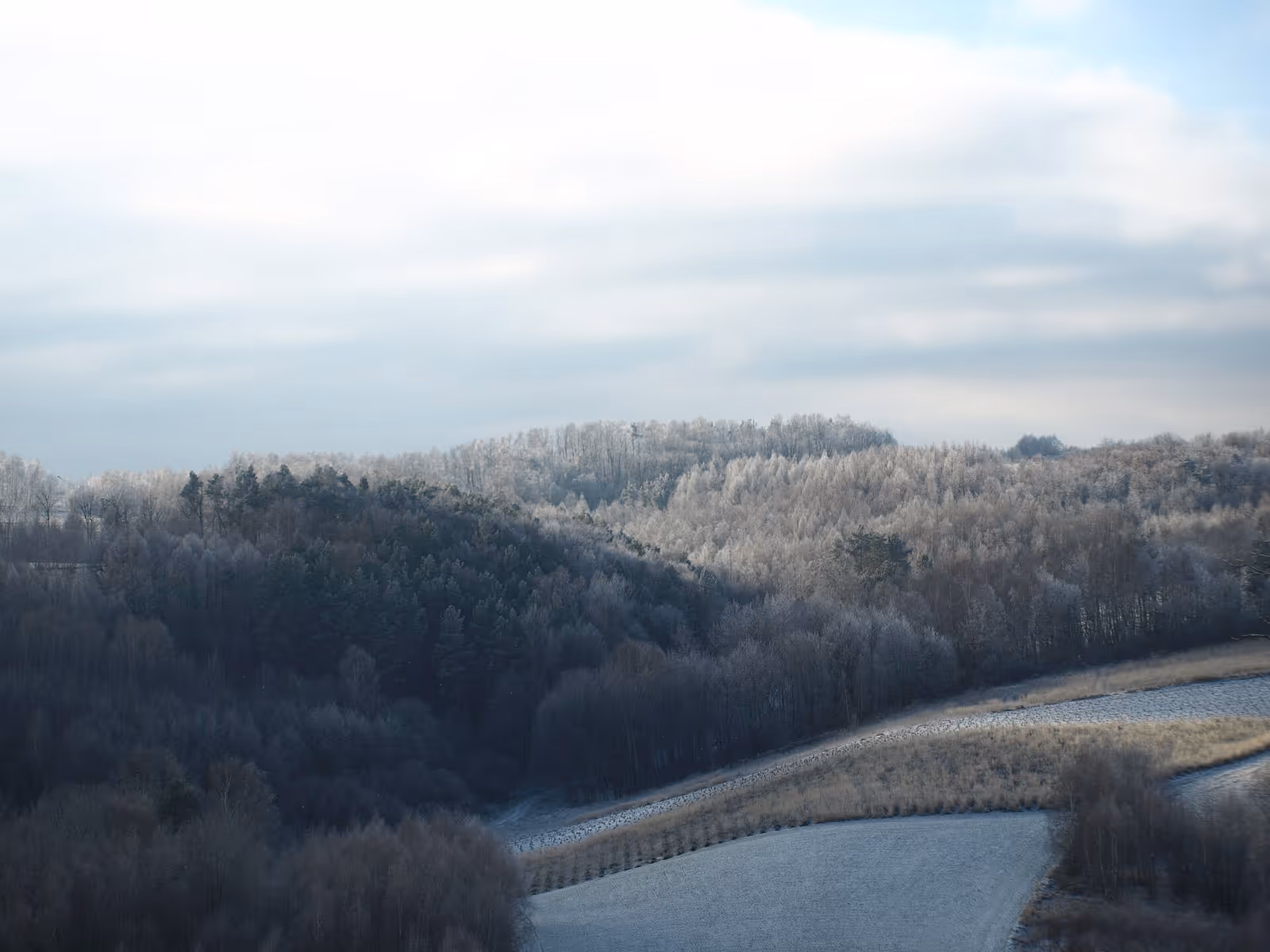 Stok Narciarski "Biała Góra" ski resort