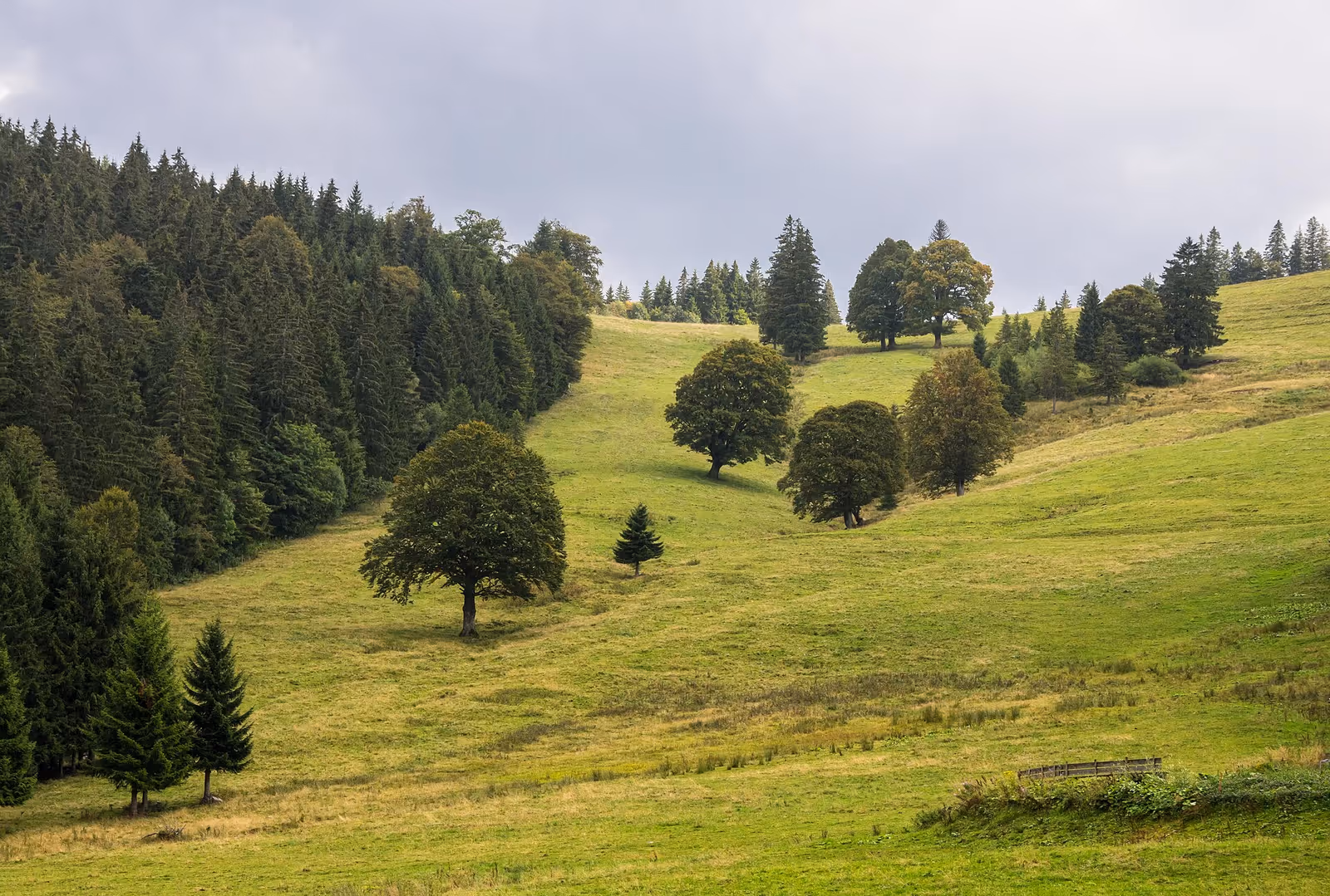Stollenbach ski resort