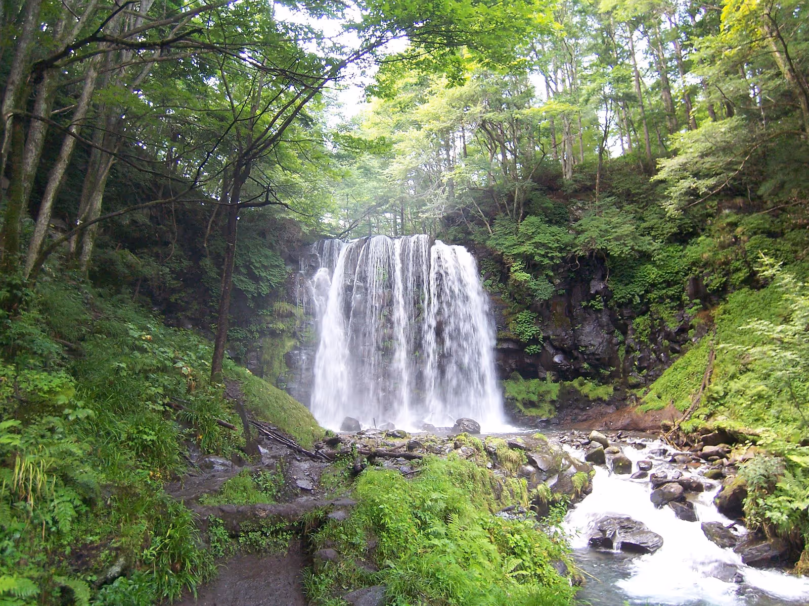 菅平高原パインビークスキー場, Sugadairakogen Pine Beak Ski Area ski resort