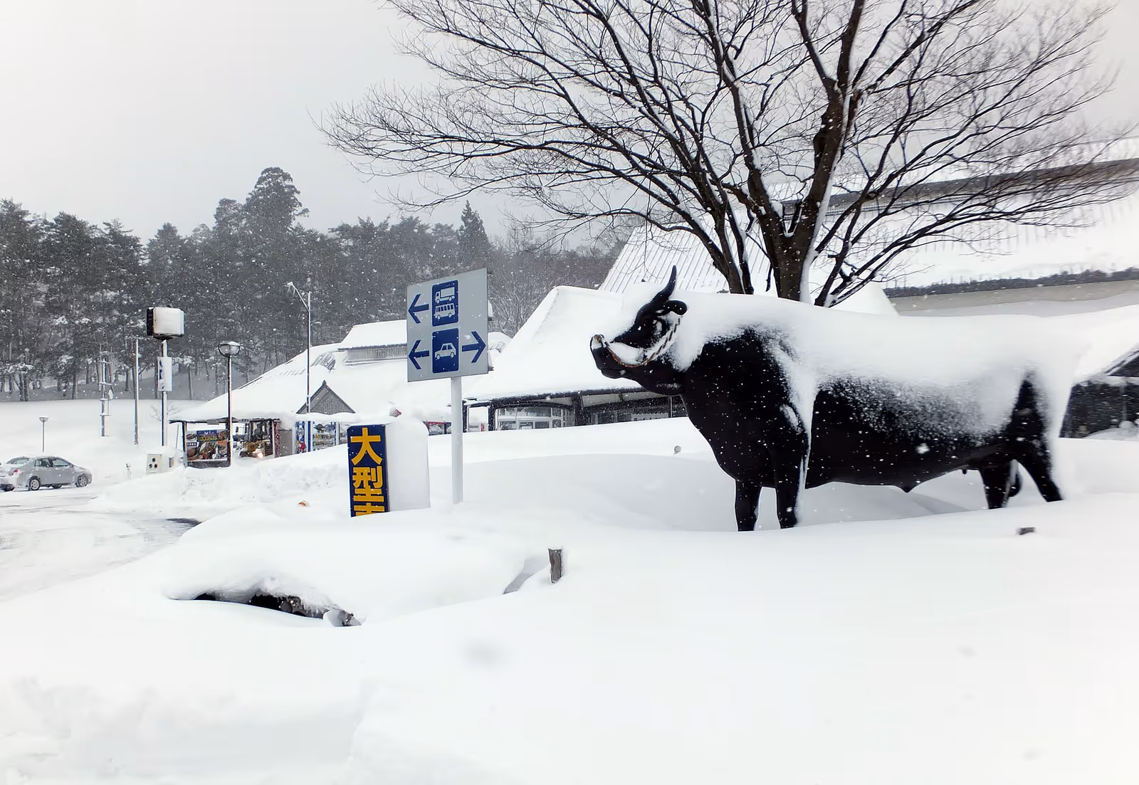 手ノ子スキー場, Tenoko Ski Area ski resort