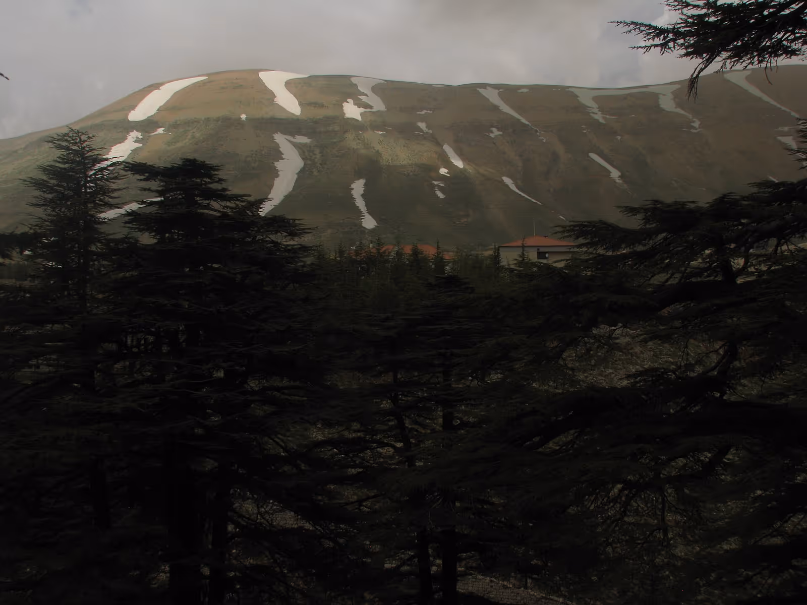 The Cedars Resort, Resort Les Cèdres ski resort