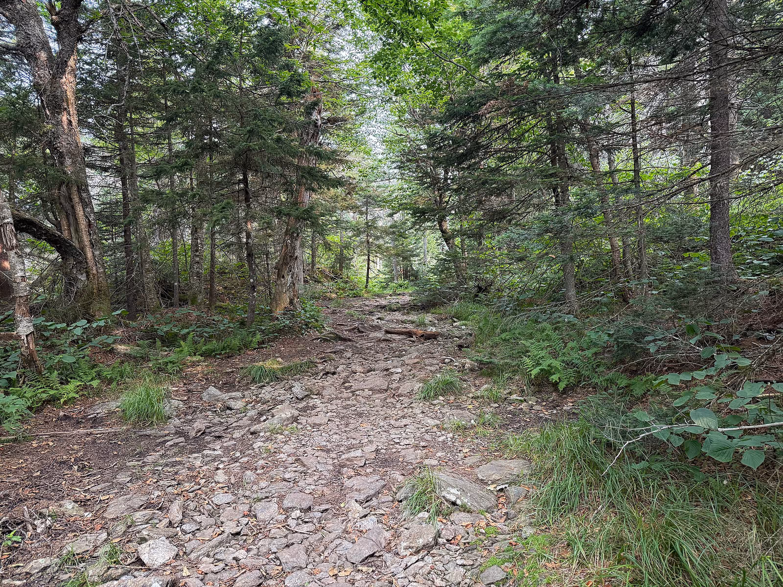 The Hermitage Club at Haystack Mountain ski resort