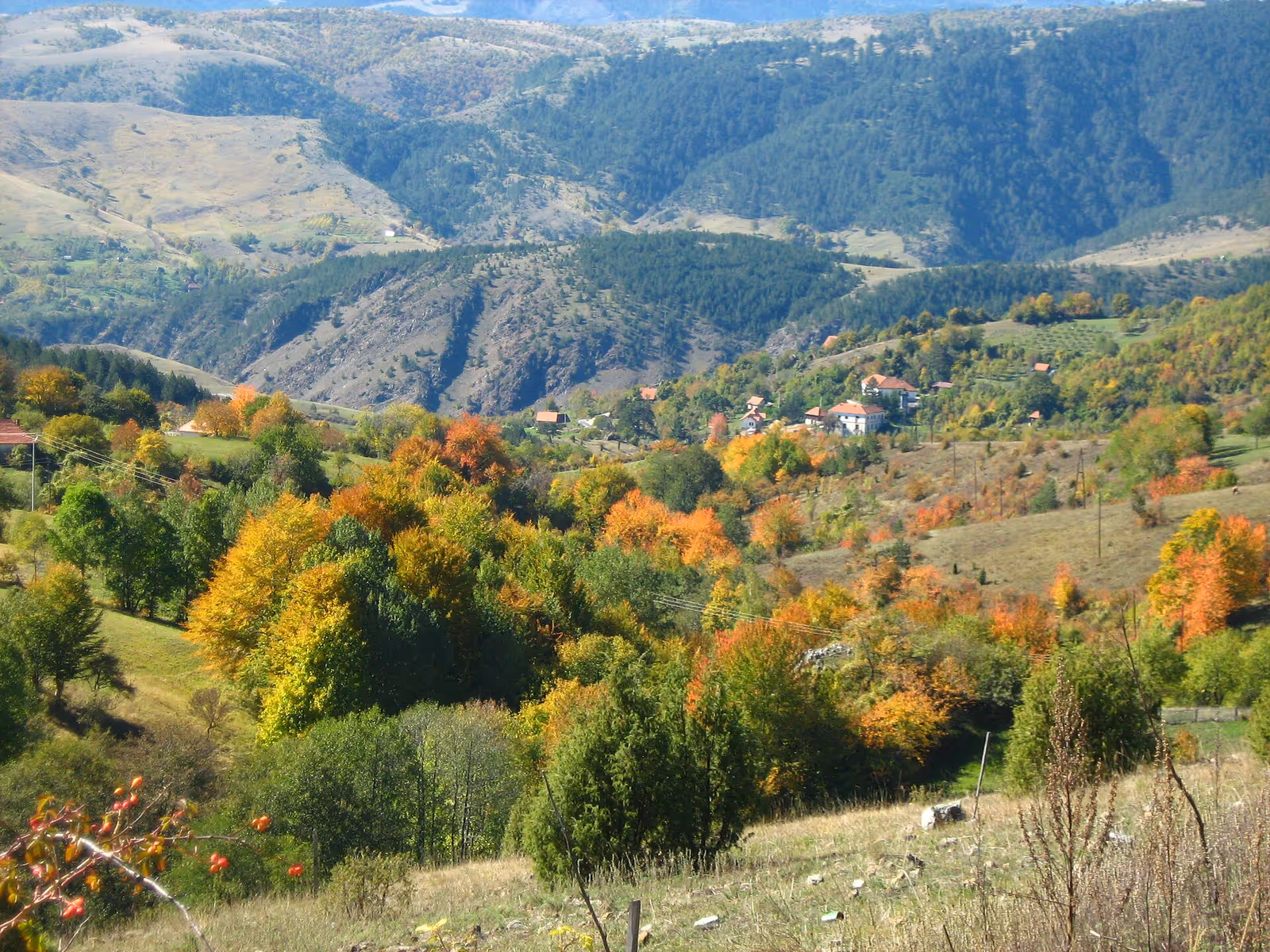 Tornik, Торник ski resort