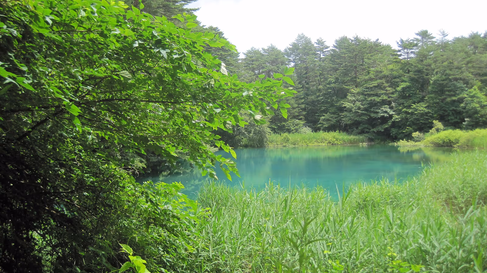 裏磐梯スキー場, Urabandai Ski Resort ski resort