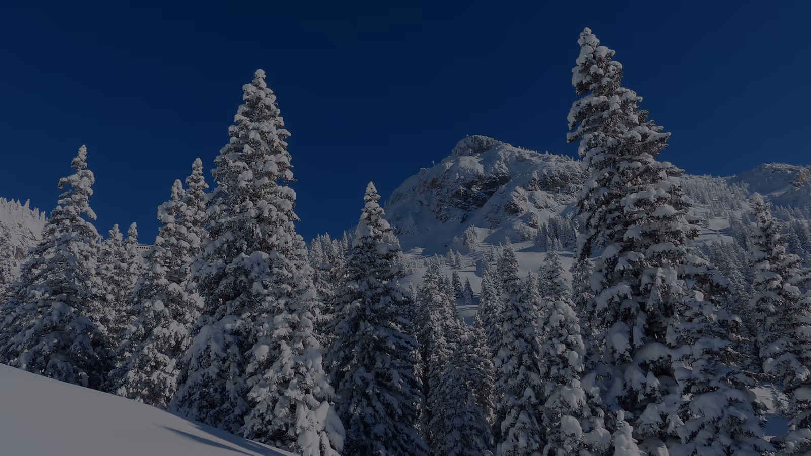 Vernár - Studničky ski resort
