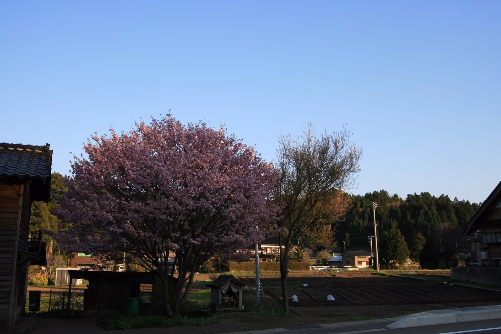 Wajima City Mitsui (輪島市営三井スキー場) ski resort