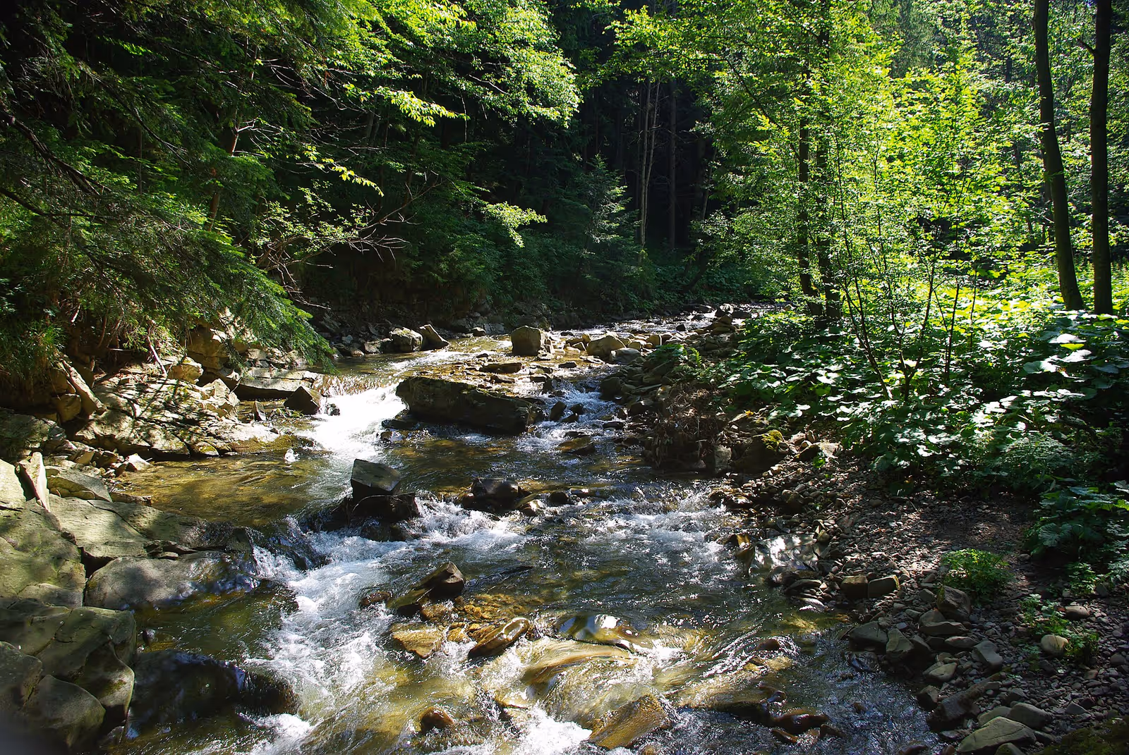 Wyciągi Wojtek ski resort